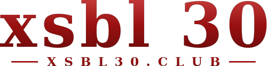 xsbl 30 logo